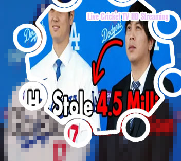 Baji bet live chat