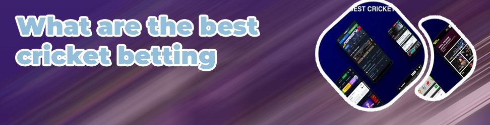 Real cash cricket betting app